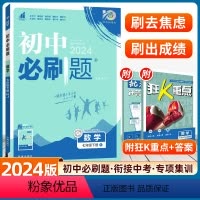 数学 人教版 [正版]2024新版初中七年级下册数学人教版同步练习册北师湘教沪科华师苏科青岛初一7年级七下教辅辅导资料书