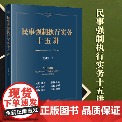 2023新书 民事强制执行实务十五讲 夏祖国著 法律出版社