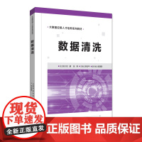 数据清洗 大数据应用人才培养系列教材 刘鹏 张燕 李法平 陈潇潇 清华大学出版社 9787302493273