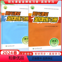 [正版]2024春阳光课堂金牌练习册小学三年级下册语文数学2本 人教版 3年级下册 语文+数学 人民教育出版社 同步练