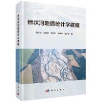 [N]辫状河地质统计学建模(精)-9787030637963