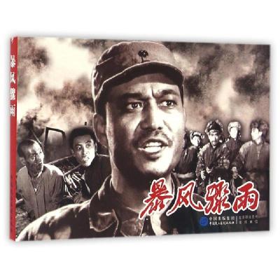正版新书]暴风骤雨赵刚9787516208243