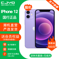 [二手99新] Apple iPhone 12 紫色 128GB 二手苹果12手机 全网通 双卡双待 国行5G 正品手机