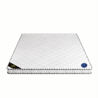 普拉塞(Plasser) 天然椰棕床垫棕垫 1000mm*2000mm