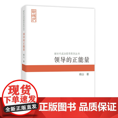 领导的正能量(新时代成功领导系列丛书)