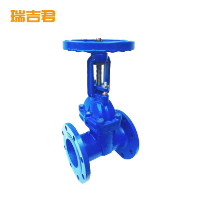 瑞吉君 软密封明杆闸阀 DN100 个