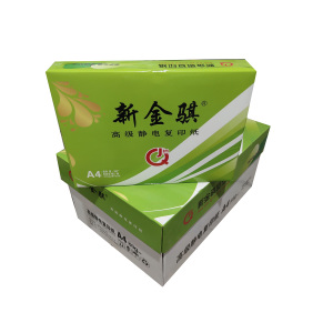 新金骐 绿新金骐高级静电复印纸80g复印纸白纸草稿纸 整箱 80g-A4-8包装(4000张)