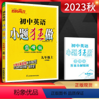 英语 九年级上 [正版]江苏版2023秋 恩波教育小题狂做巅峰版初中英语九年级上册译林版 初三9年级上同步辅导资料练习册