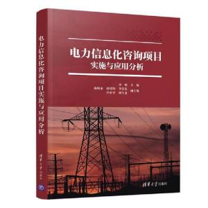 正版新书]电力信息化咨询项目实施与应用分析施明泰978730254859
