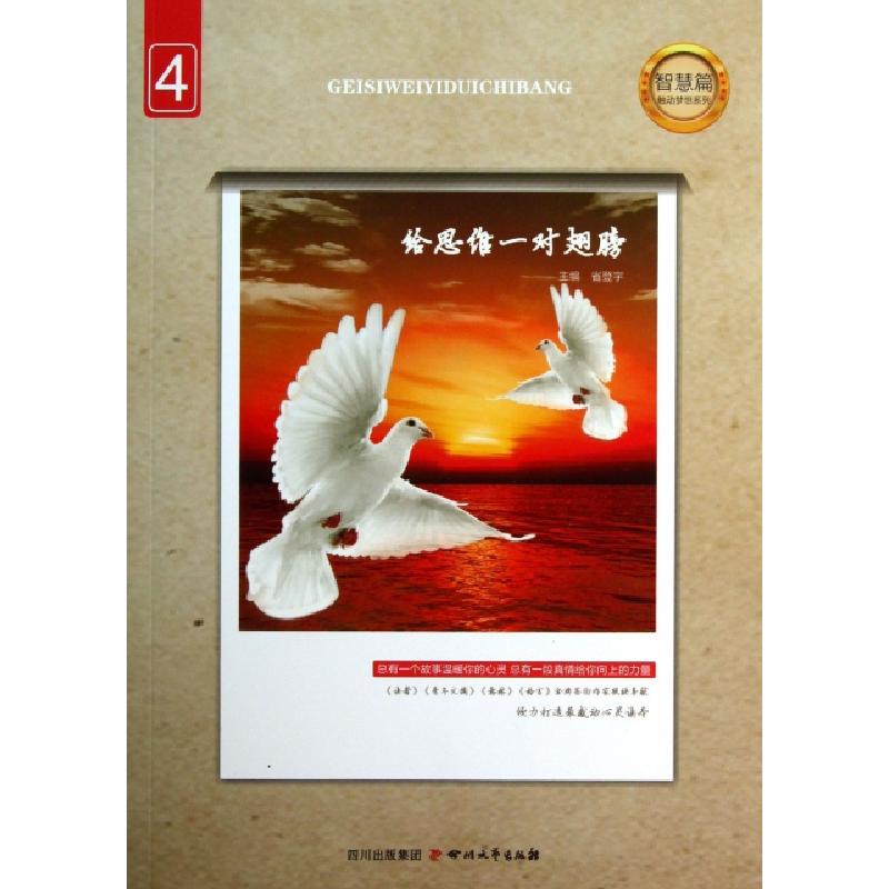 正版新书]给思维一对翅膀/触动梦想系列省登宇9787541137440