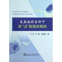 音像复杂地形条件下重气扩散数值模拟宁平,孙暠,侯明明