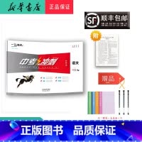 语文 九年级/初中三年级 [正版] 2023新版 一飞冲天 中考冲刺 语文 天津