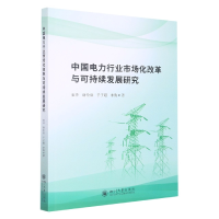 音像中国电力行业市场化改革与可持续发展研究中国