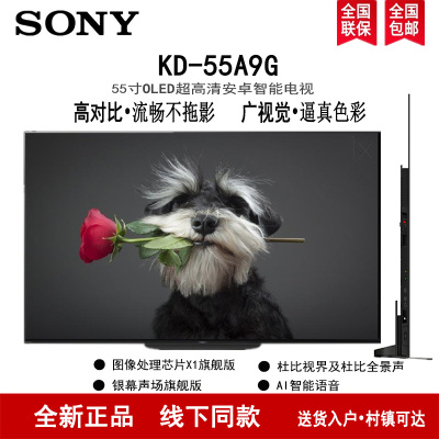 索尼KD-55A9G 55英寸 OLED X1旗舰芯片 AI智能语音 杜比全景声及视界 液晶电视