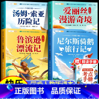 [加厚完整版]六年级下册快乐读书吧 [正版]鲁滨逊漂流记六年级课外书下册尼尔斯骑鹅旅行记爱丽丝漫游奇境记仙境汤姆索亚历险