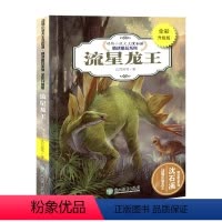 [正版]名师指导三四五六年级经典读物 新版沈石溪 动物小说 流星龙王 中小学生课外书儿童书精读系列小学课外必读书籍 全