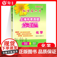 2025灿烂在六月 上海中考真题分类汇编 化学 中西书局初一初二初三年级中考数学复习测试中学教辅七年级八年级九年级