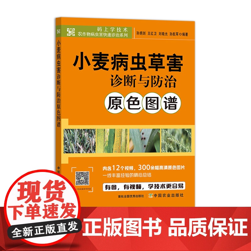 小麦病虫草害诊断与防治原色图谱 325364 孙炳剑 王红卫 刘晓光 孙航军 码上学技术·农作物病虫害快速诊治系列 20