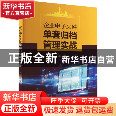 正版 企业电子文件单套归档管理实战 王洋 中国水利水电出版社 9