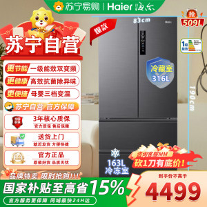 海尔509升法式多门 BCD-509WGHFD7DS9U1超薄大容量变频节能电冰箱
