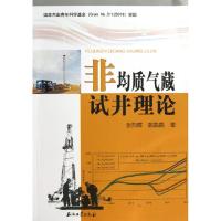 正版新书]非均质气藏试井理论张烈辉//郭晶晶9787502193379
