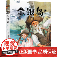我爱读经典 金银岛 世界经典童话9-12岁读物 儿童文学寻宝探险未删减全译本