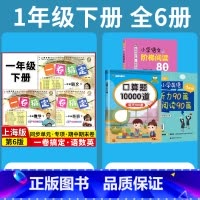1年级下 语数英+专项训练 小学通用 [正版]2024一卷搞定五年级上沪教版一二年级三四六年级七八九年级上下册第6版语文