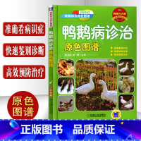 [正版]鸭鹅病诊治原色图谱鸭鹅病快速诊断与防治技术鸭病诊断与防治养鸭技术养鹅养殖技术大全养鹅技术书籍养殖书籍大全禽流感