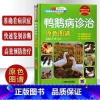 [正版]鸭鹅病诊治原色图谱鸭鹅病快速诊断与防治技术鸭病诊断与防治养鸭技术养鹅养殖技术大全养鹅技术书籍养殖书籍大全禽流感