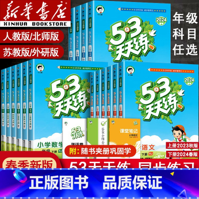 [单本]英语外研版三起点 四年级上 [正版]2024新版53天天练一年级二年级四年级五六三年级上册下册语文数学英语全套同