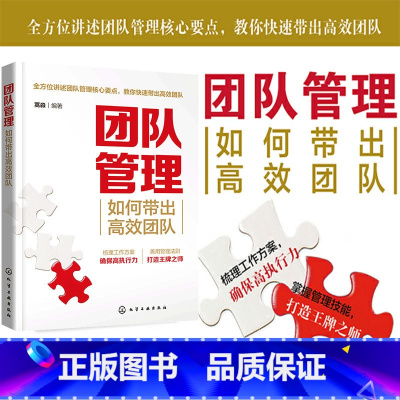 [正版] 团队管理 如何带出高效团队 蒿淼 企业团队管理方案方法技巧 轻松带出高效能团队提升团队凝聚力领导力绩效管理考核