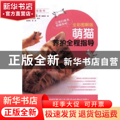 正版 萌猫养护全程指导:全彩图解版 (日)与猫咪的每一天编辑部