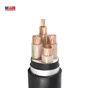 常顺鑫 低压铜芯电缆ZC-YJV22 3×95+1×50 米