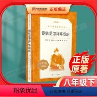 [正版]八年级下册钢铁是怎样炼成的原着无删减初二初中生必读课外书阅读中学生读物书籍经典世界名着书籍小说人民文学出版社傅