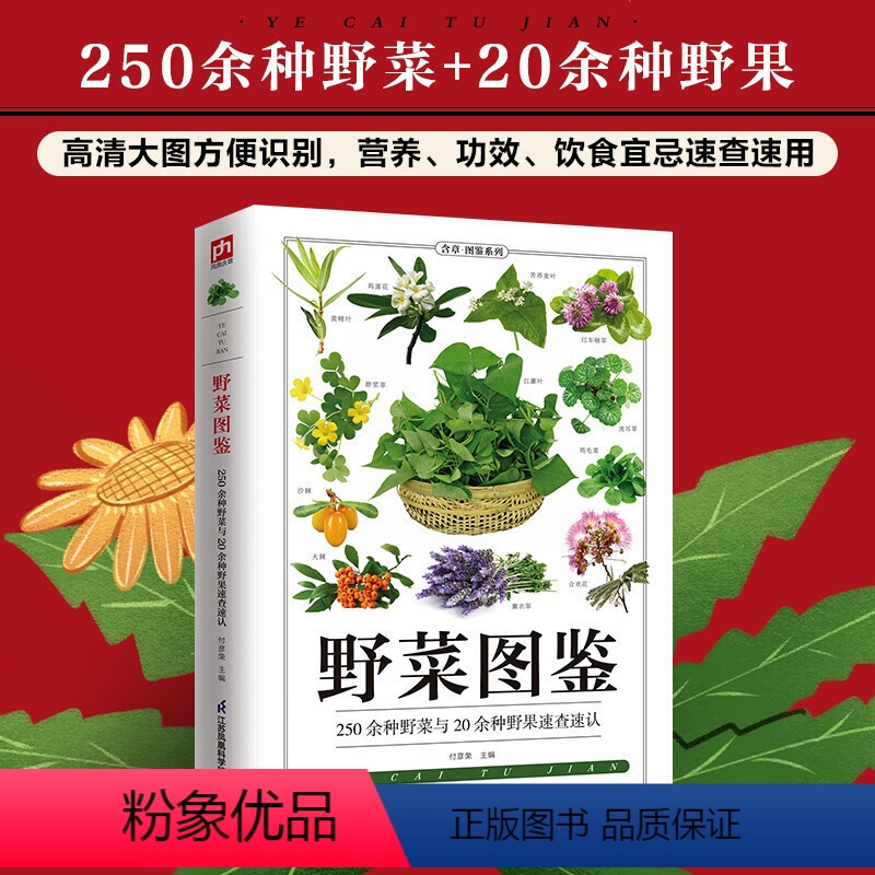 [正版]野菜图鉴 257种野菜的特征与识别 野菜知识采摘和食用 蒲公英 大车前 豆瓣菜详细介绍野菜的名称别名特征功效习