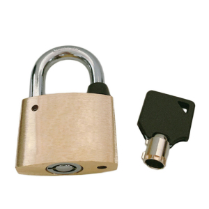 中电鼎润 ZD-60A 60mm*20mm 黄铜通开挂锁 (计价单位:个)金色