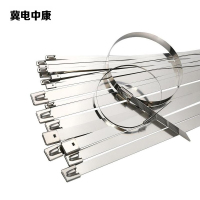 冀电中康 304不锈钢扎带 4.6*450mm 包