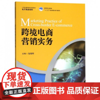 跨境电商营销实务(21世纪高职高专规划教材)/电子商务系