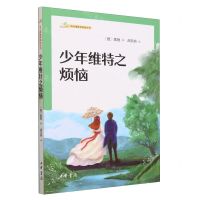 [N]少年维特之烦恼/语文课推荐阅读丛书-9787101161878