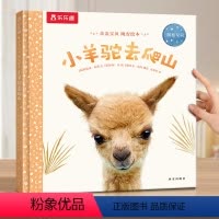 绘本❤小羊驼去爬山 [正版] 绘本0-3岁睡前早教书籍幼儿1-2-6岁宝宝幼儿园学前亲亲宝贝小鸭子小兔子爱冒险儿童阅读情