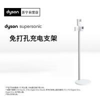 Dyson戴森原装充电支架V12V10吸尘器适用立式铝制免打孔支架