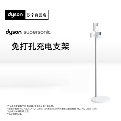 Dyson戴森原装充电支架V12V10吸尘器适用立式铝制免打孔支架