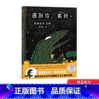 单本全册 [正版]遇到你真好宫西达也恐龙温馨绘本第6册隆重上市硬壳精装图画书童书