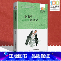[正版]中小学必读文学经典 小布头奇遇记 百年百部 书 9-12-15岁青少年六年级课外阅读书籍名师指导4-6年级中