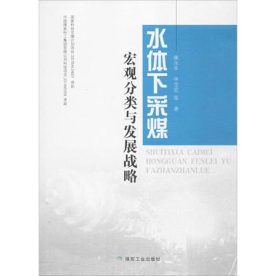 水体下采煤宏观分类与发展战略