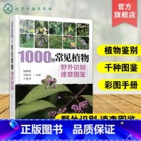 世界木材图鉴 289种木材识别与应用宝典 [正版]1000种常见植物野外识别速查图鉴 图解中草药大全 家庭书籍野外识别