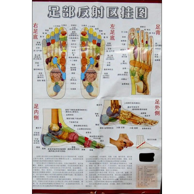 [N]足部反射区挂图-75641448