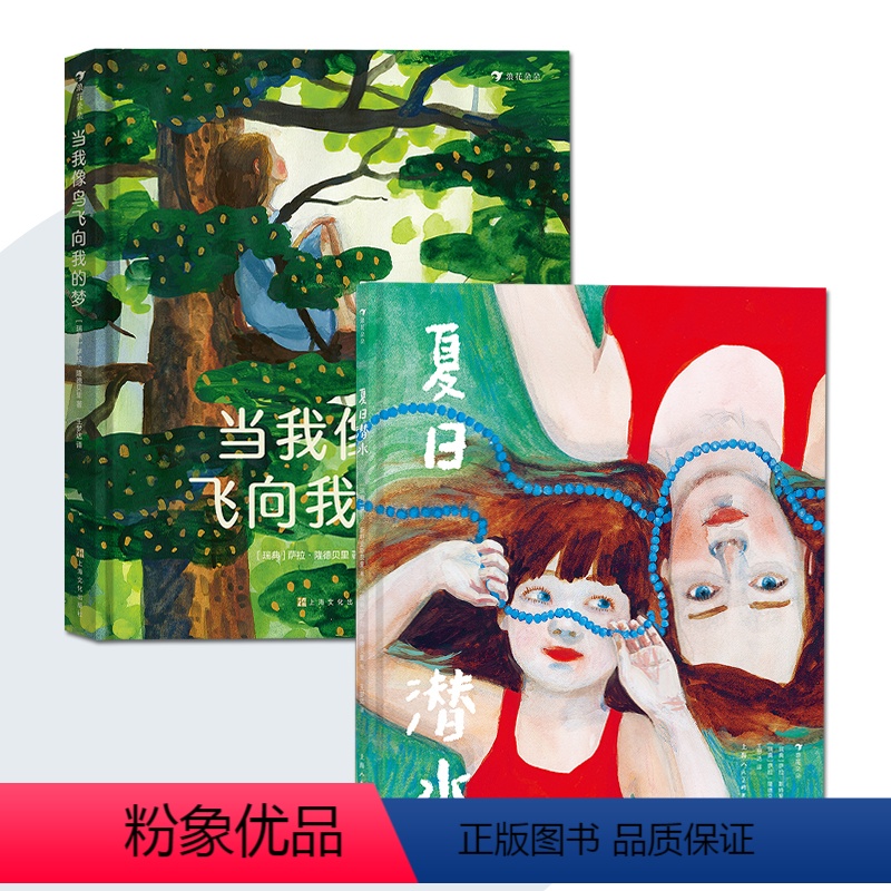 当我像鸟飞向我的梦+夏日潜水 [正版]2册套装当我像鸟飞向我的梦 +夏日潜水 8-12岁青少年成长励志治愈文学绘本 女孩