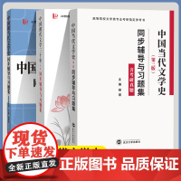 正版 中国当代文学史洪子诚 第3版+中国现代文学三十年第三版 钱理群 北京大学出版社 大学本科汉语言文学专业考研教材