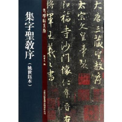 正版新书]集字圣教序·姚世钰本孙宝文编9787553441979